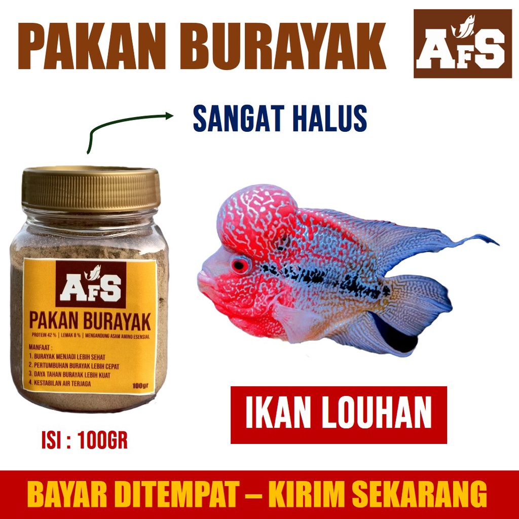 RECOMENDED - Pakan Burayak AFS Anak Ikan Louhan Yang Baru Lahir/Netas Usia 4 Hari - 21 Hari - Pakan 