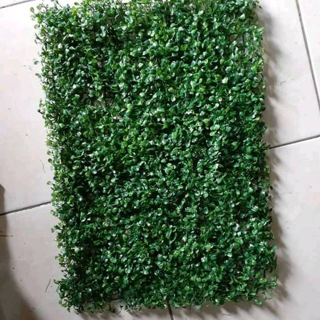 tanaman sintetis dolar rambat-tanaman artificial-tanaman hias dolar