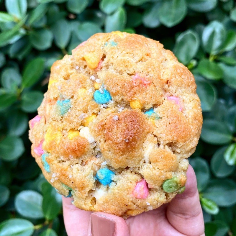 

Rainbow Chocolate Chip Soft-baked Cookies