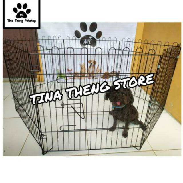 Kandang Anjing Kura Kura Kelinci PAGAR LIPAT 6 SISI 60X60cm-5