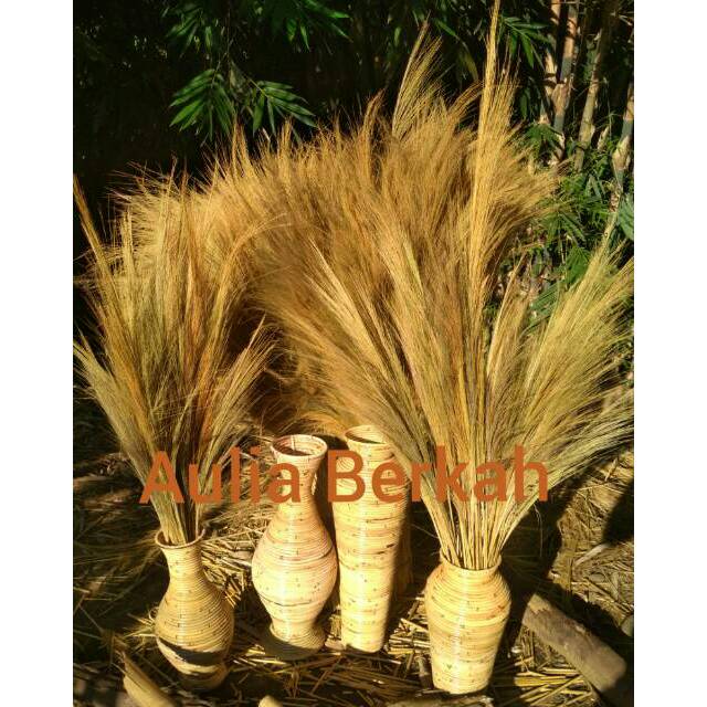 Bunga Pampas Minimal Order 20Pcs Bunga Kering untuk Vas 