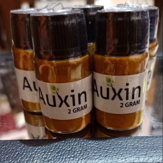 IAA Auksin 2 gram serbuk murni