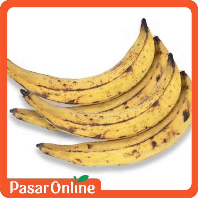 

Pisang Tanduk - Perbuah