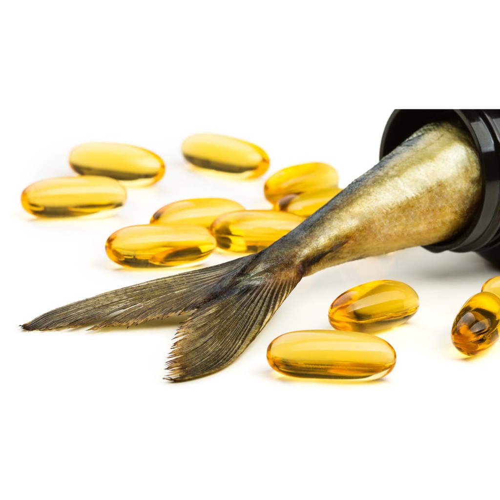 Fish Oil Minyak Ikan khusus Kucing