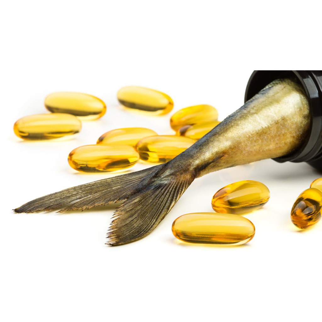 Fish Oil Minyak Ikan khusus Kucing