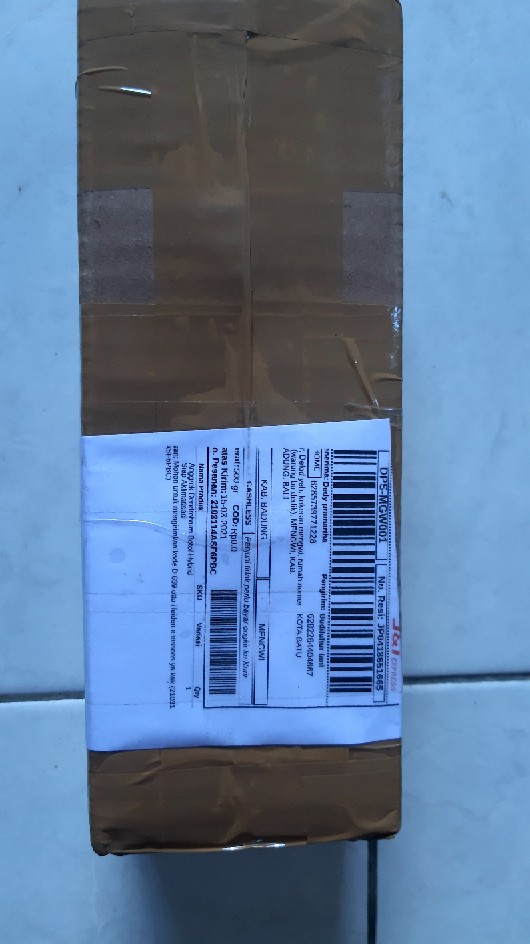 Anggrek Dendrobium Botol Hybrid Siap Aklimatisasi