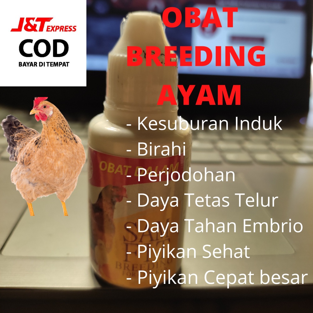 SAMFIT Obat Ayam Cepat Bertelur Perangsang Birahi Agar Kawin Anti Macet Nelur Setiap Hari Vitamin Ayam Betina Untuk Ternak Breeding Bangkok Petarung Aduan Arab Kampung Petelur Kate Pilipin Paling Ampuh