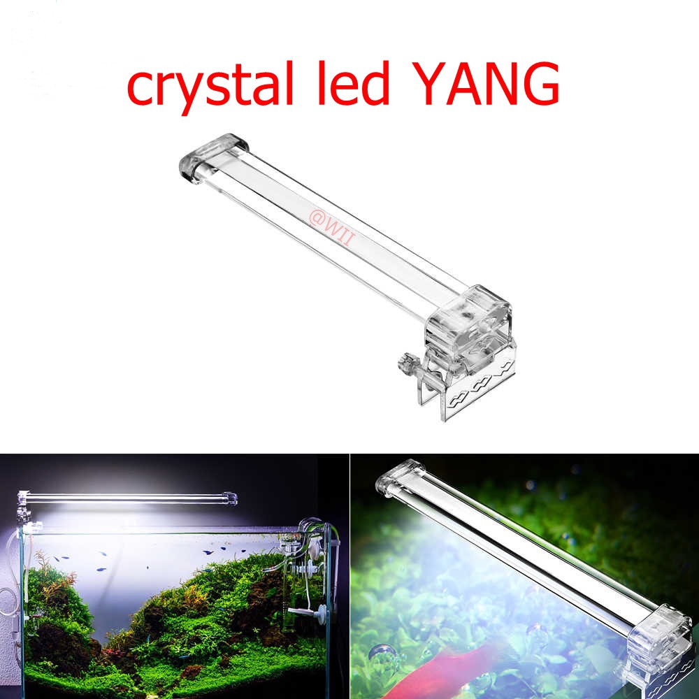 LAMPU YANG LED 6 watt jepit 6watt 6 w 6w aquarium aquascape