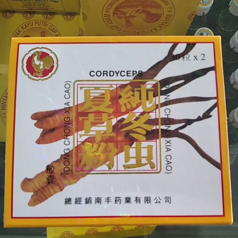 Dong Chong Xia Cao Cordyceps Capsule