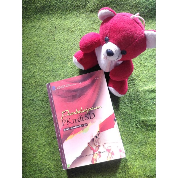 

Pembelajaran PKN di SD