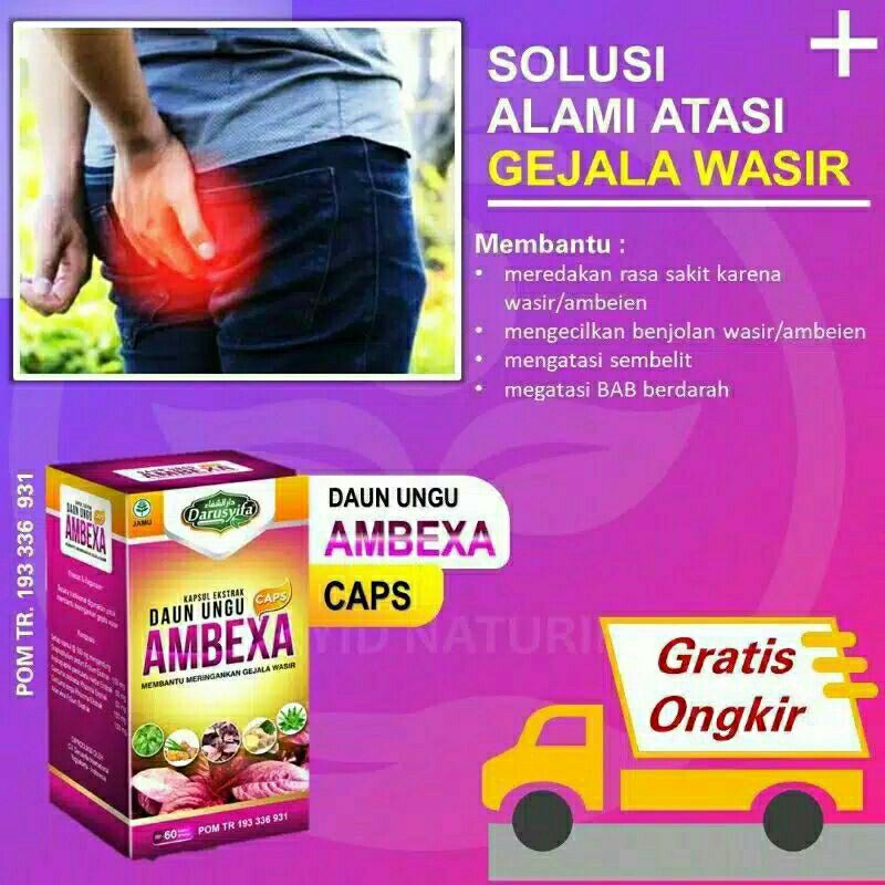 AMBEXA OBAT DAUN UNGU MENGATASI WASIR DAN AMBIYEN