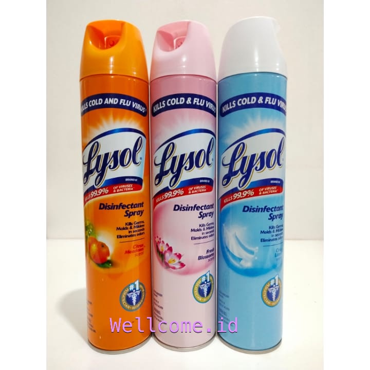 LYSOL DISINFECTANT SPRAY 510 gr - Crisp Linen/ Citrus Meadows/ Early Morning Breeze/ Fresh Blossom
