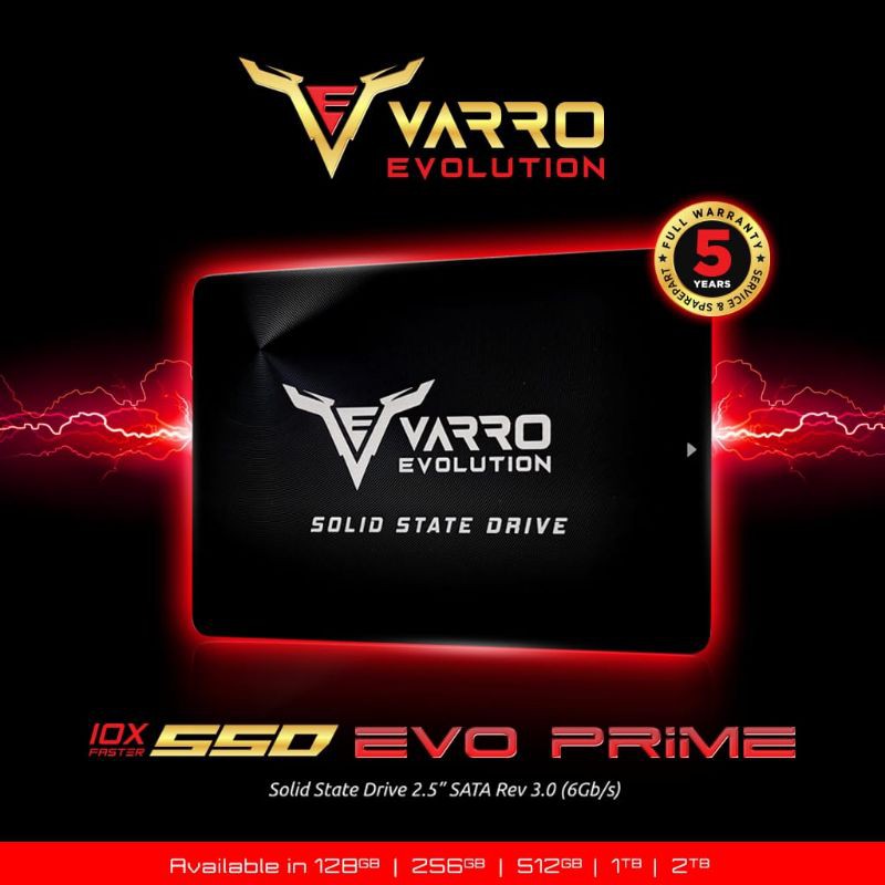 SSD VARRO 256GB