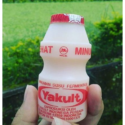 Yakult 1 pack 5 pcs