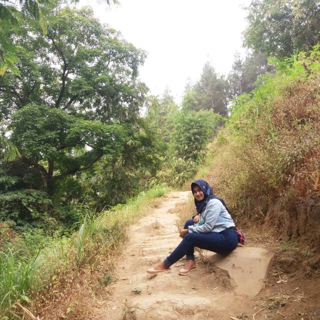rezahaehae14