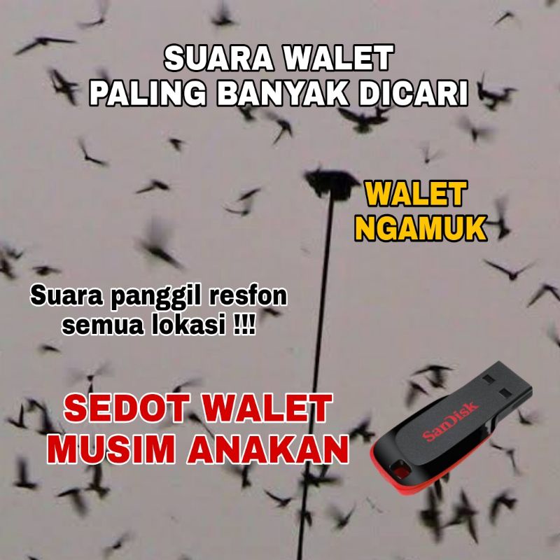 Suara Walet Resfon Lengkap Sp + Si + St