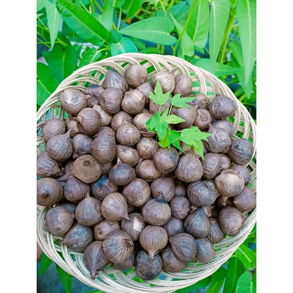 

BLACK GARLIC TUNGGAL 1KG
