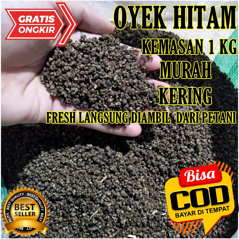

Makanan Tradisional Khas Jawa Nasi OYEK/NASI TIWUL HITAM