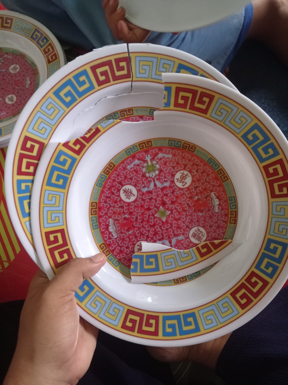 12 Pcs Piring Melamine Motif3