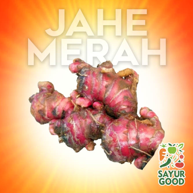 

Jahe Merah Segar / Jahe Merah Fresh / Red Ginger 250 gram