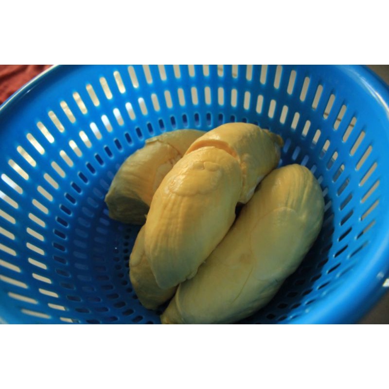 

durian Parigi-Palu