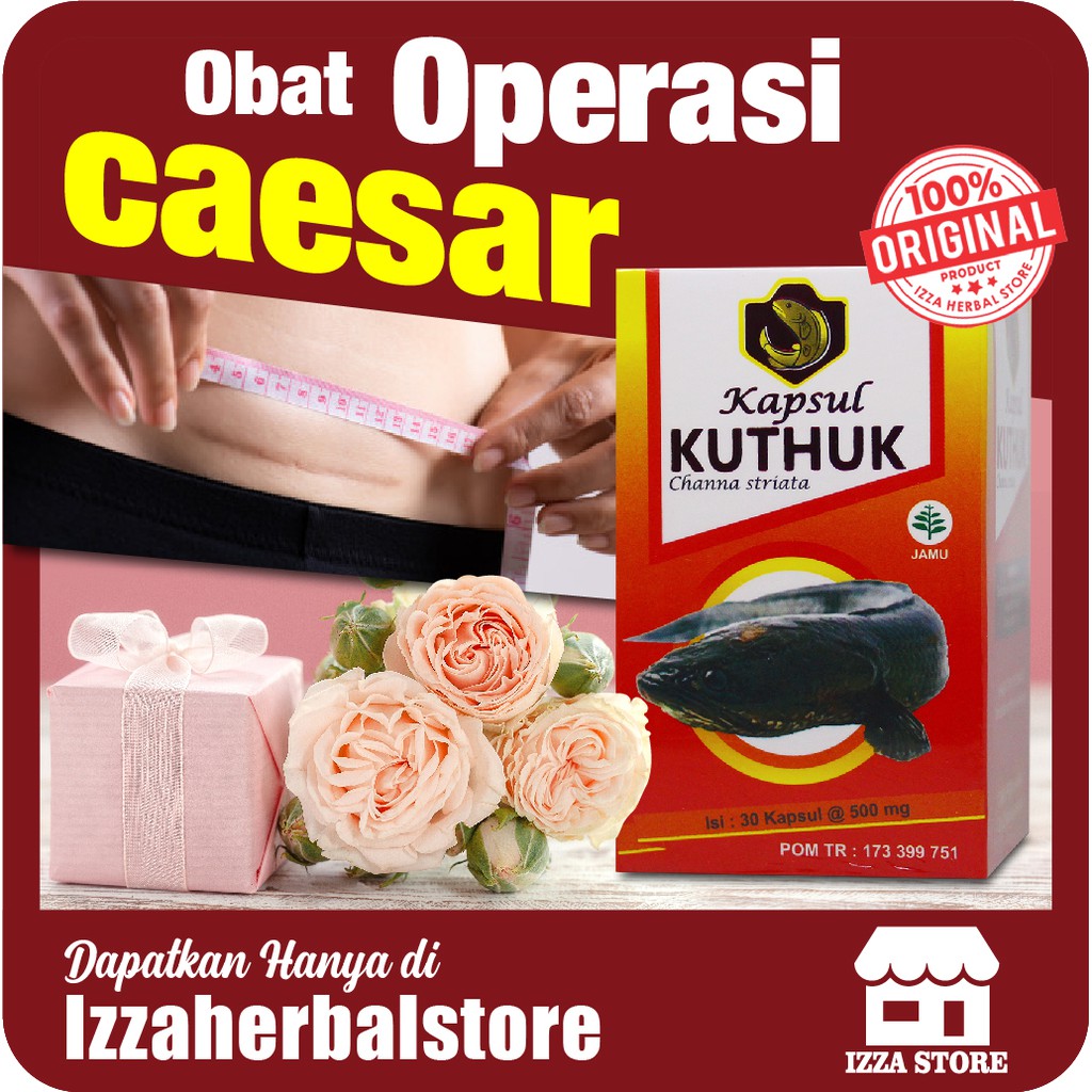 OBAT OPERASI SESAR Kapsul Kutuk Original 30 Kapsul Kapsul KUTHUK Albumin Solusi Luka Jahitan BPOM