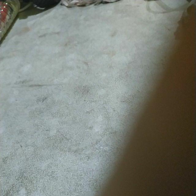 Decor Art Hiasan Dekorasi Dinding Kamar Rumah Bunga Pot Kaktus Cantik Wall Decor - Ct 2