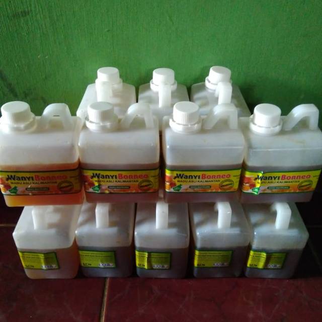 

Madu hutan kalimantan