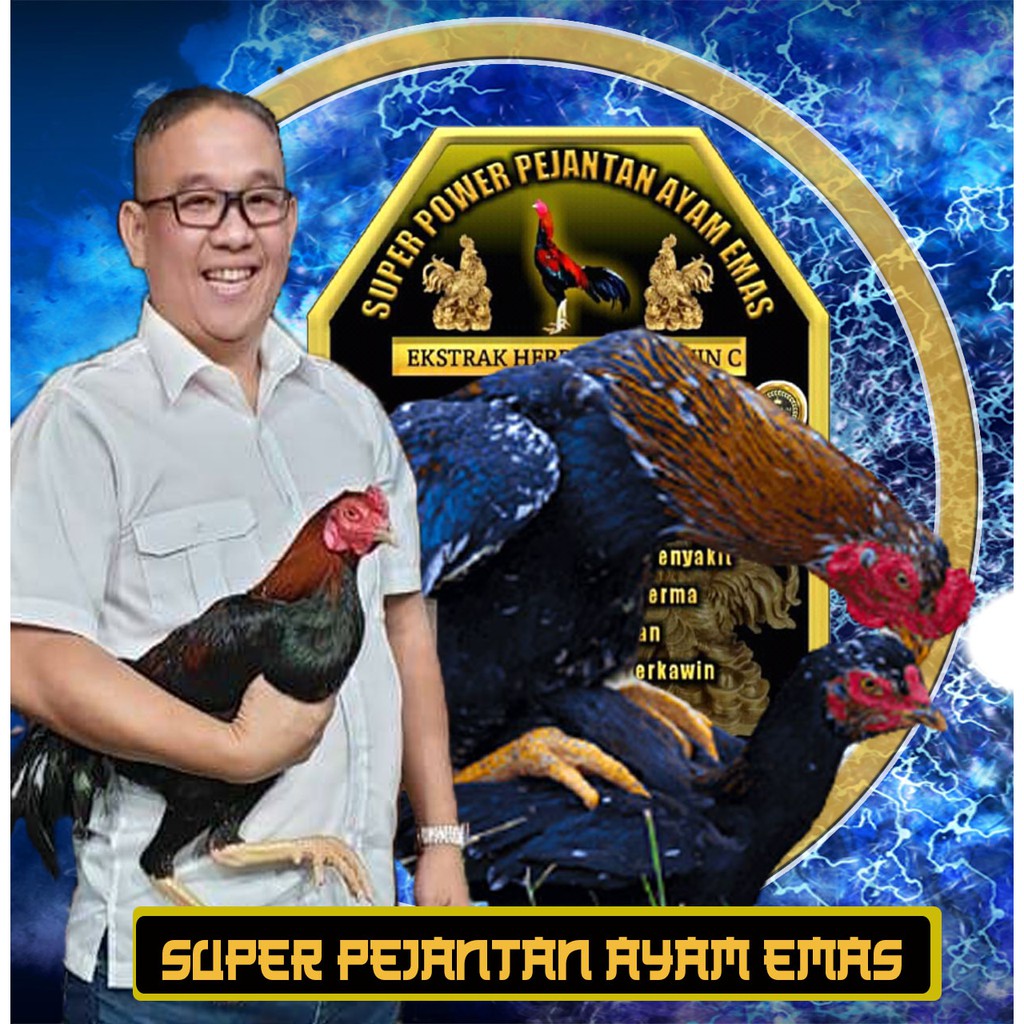 Super Power Pejantan Ayam Emas - Mampu Meningkatkan Birahi Ayam Pejantan