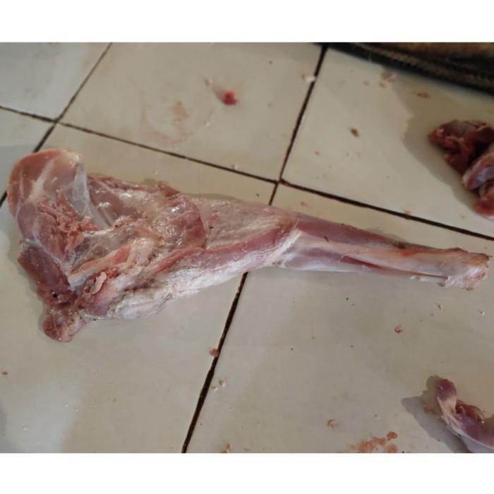 

Meat | Daging Paha Kambing Muda Lamb Utuh 1 Pcs