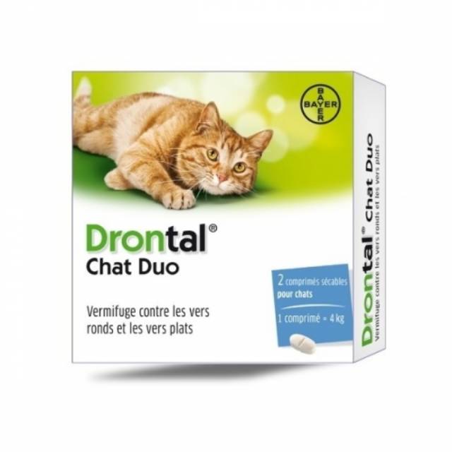 Drontal Katze Bayer