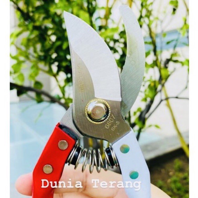 BEST SELLER !!! Gunting Dahan Ranting Bunga Bonsai MERAH PUTIH Stek MASSAKI 8” 8inch Stainless Steel Gagang Besi