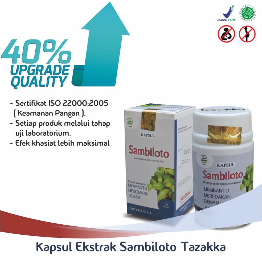 TAZAKKA SAMBILOTO  KAPSUL HERBAL 60 KAPSUL | EKSTRAK DAUN SUPLEMEN DAYA TAHAN TUBUH