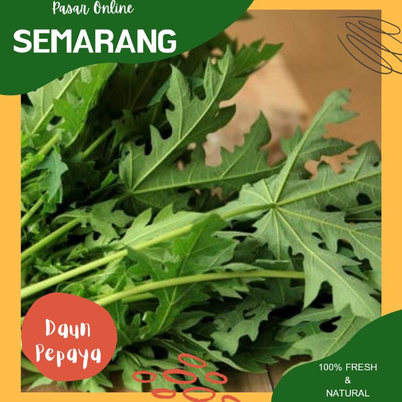 Jual Sayur Sayuran Daun Pepaya Godong Kates Dong Kates Fresh