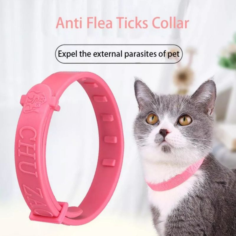 Kalung Kucing Anti Kutu Anti Tungau | Anti Flea Pet Collar