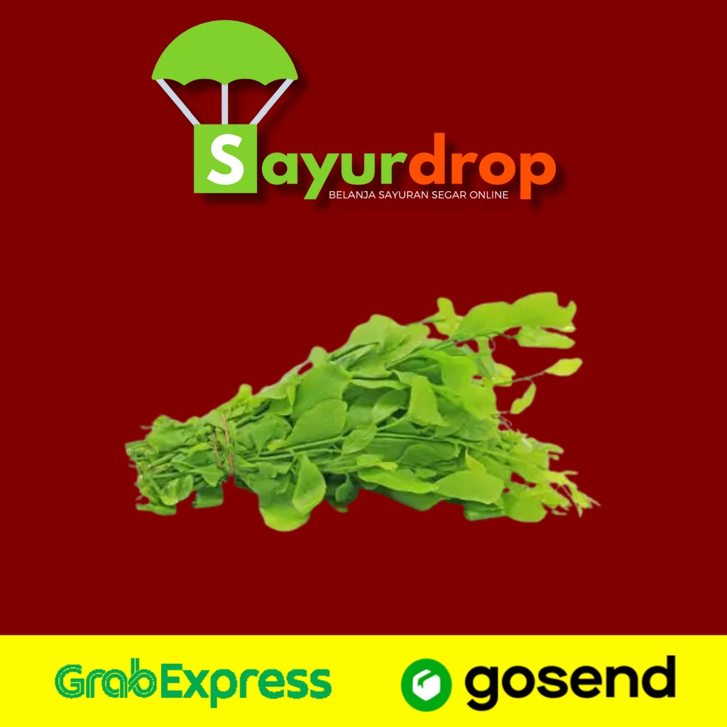 

Daun Katuk 150 Gram - Segar Higienis Murah Cepat - Instant/Same Day Delivery (Sayurdrop)