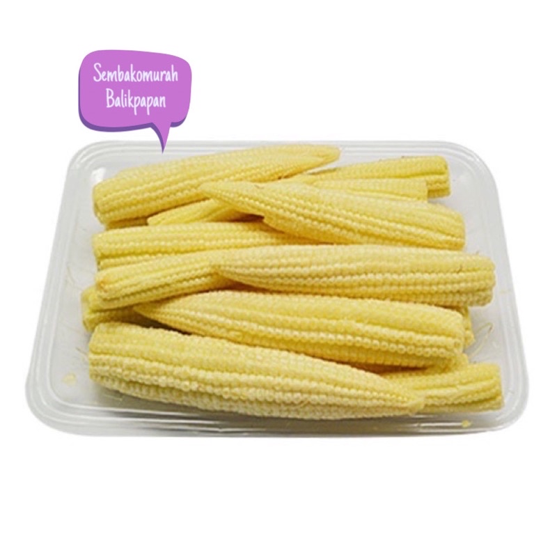 

jagung baby / jagung muda