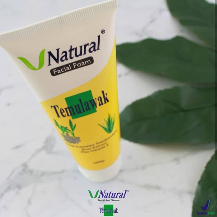 V Natural Facial Foam