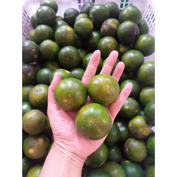 

Jeruk Peras / 500gram