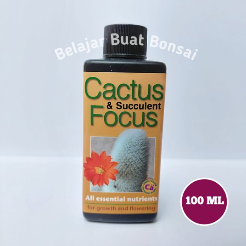 Pupuk Cair Bonsai Succulent Focus 100 ML Made In USA