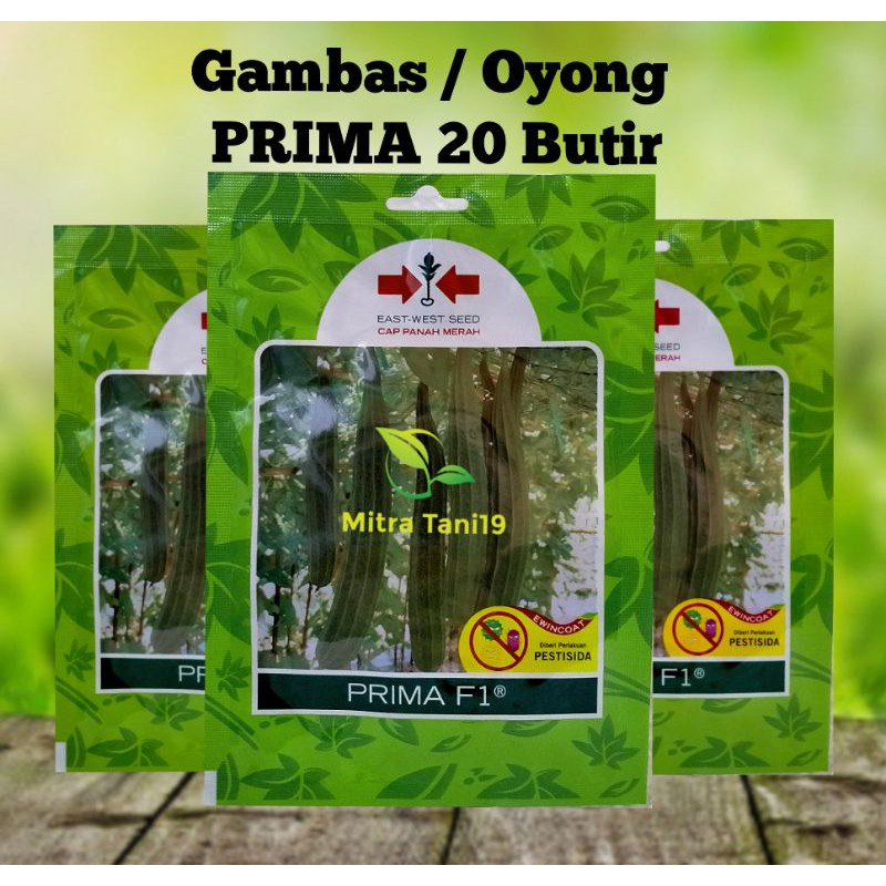 CAP PANAH MERAH BENIH BIBIT TANAMAN SAYUR SAYURAN HIDROPONIK GAMBAS OYONG PRIMA SP 20 BUTIR