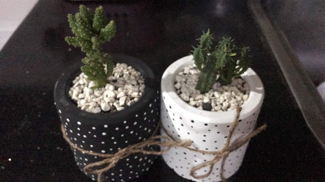 Pot Sukulen/kaktus Black White Dotted D:8cm