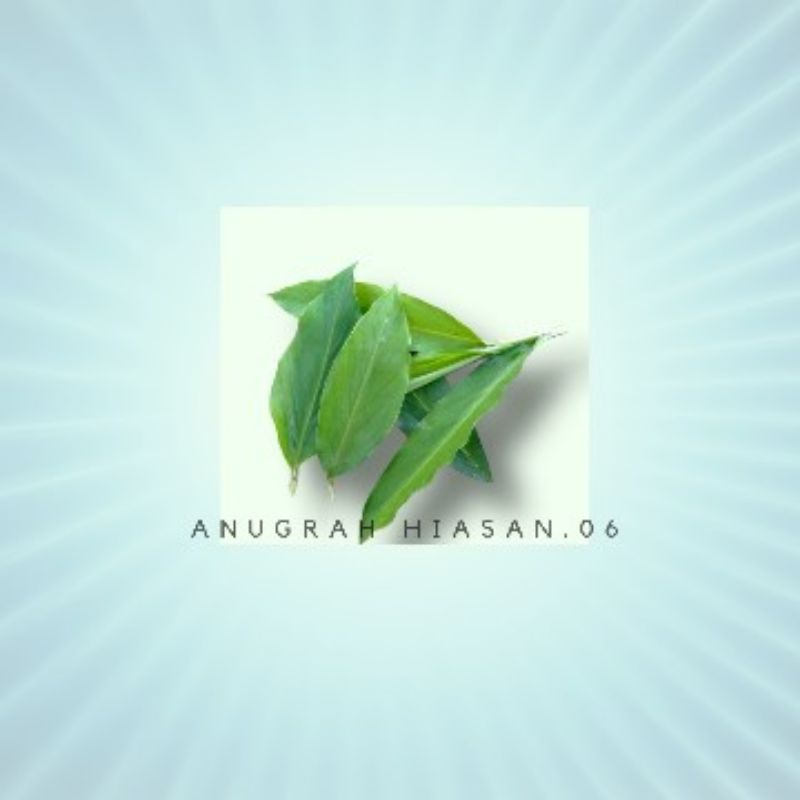 

PROMO Daun Kapulaga Segar 100 LEMBAR FRESH