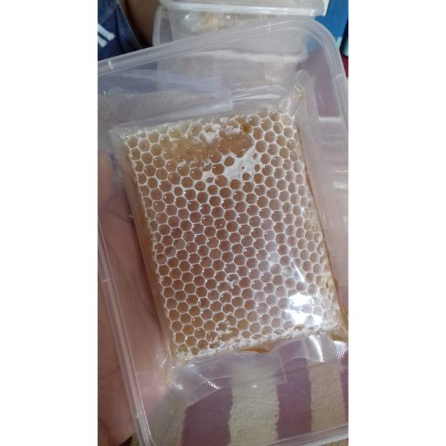 

Madu odeng sarang