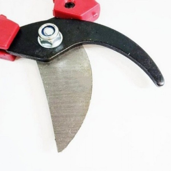 GUNTING DAHAN K800  / 8inci