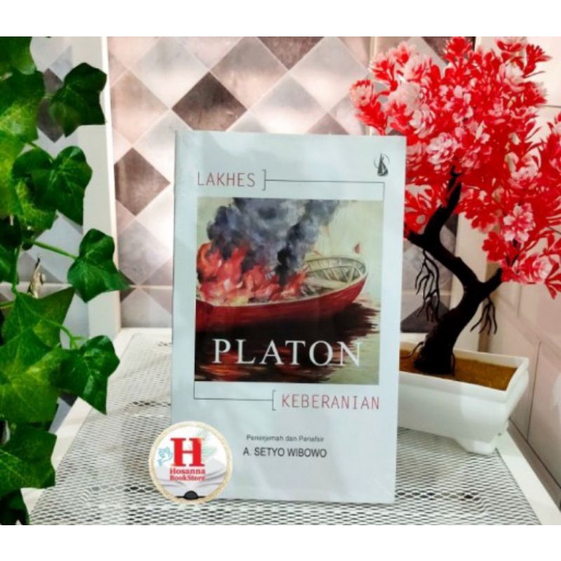 BUKU PLATON LAKHES ( KEBERHASILAN.)
