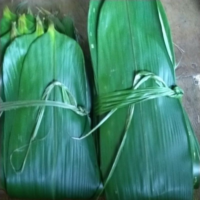 

daun bambu jumbo harga grosir