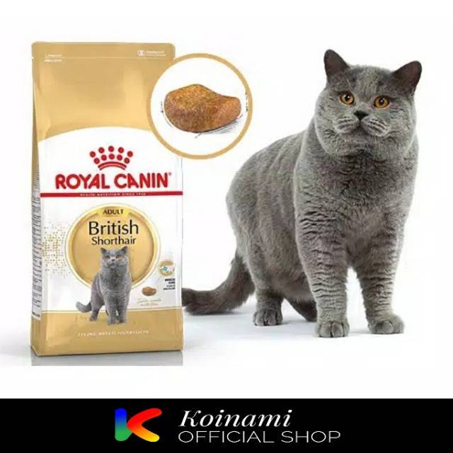 RC BRITISH SHORTHAIR 2 KG / royal canin / cat food / dry / makanan kucing / british short hair