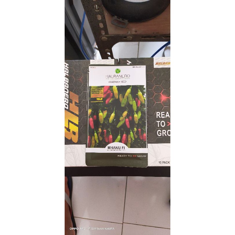 benih cabe MHANU F1,isi 10gram