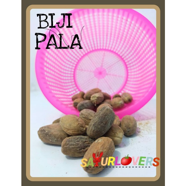 

Biji Pala SayurLovers